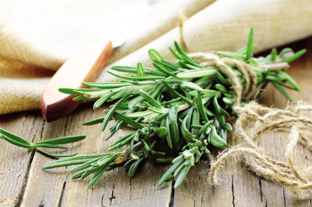 Зачини за боље расположење